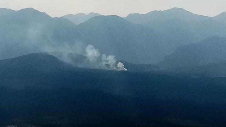 Antalya’da çıkan orman yangını kısa sürede söndürüldü