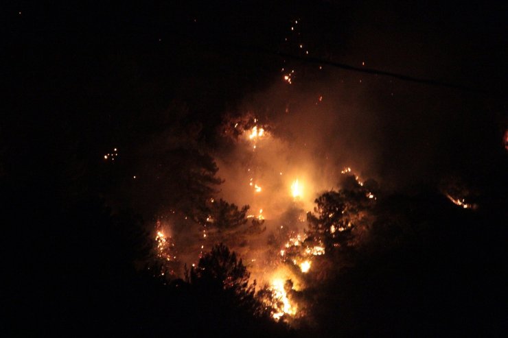 Marmaris’te orman yangını