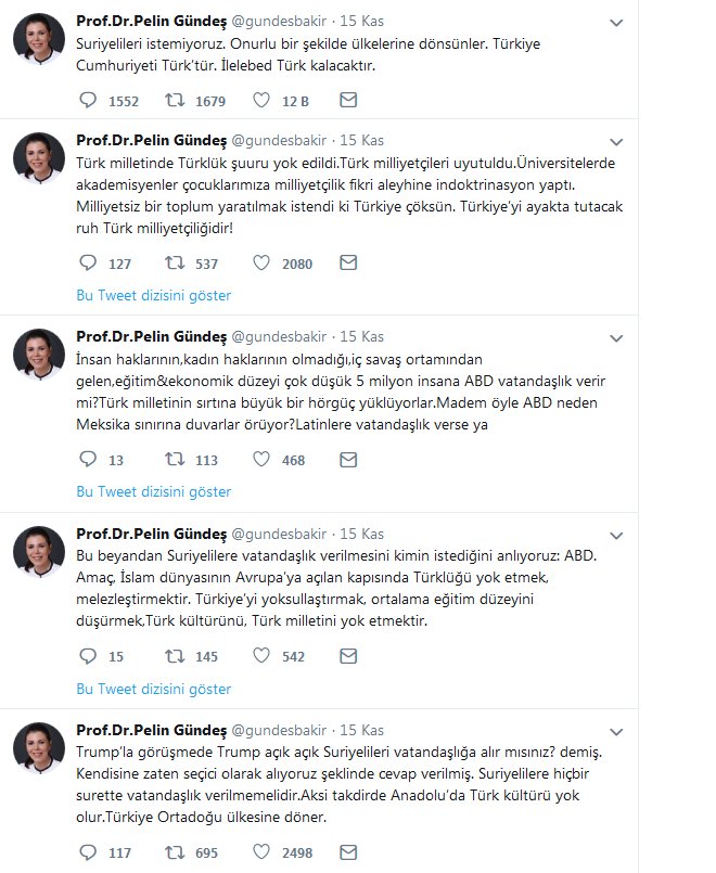 screenshot-2019-11-19-prof-dr-pelin-gundes-gundesbakir-twitter.png